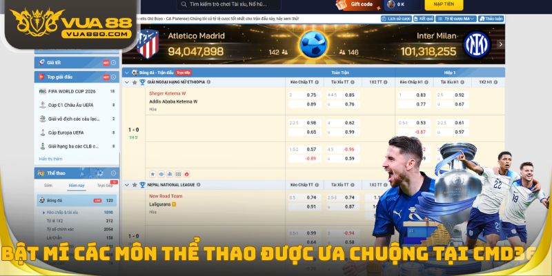 Bật mí các môn thể thao được ưa chuộng tại CMD368
