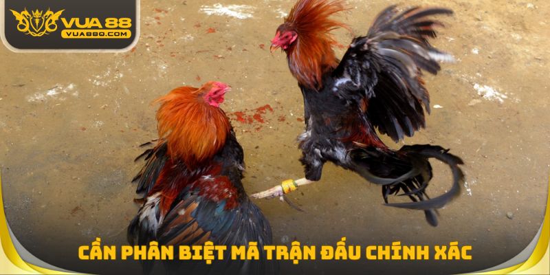 Cần phân biệt mã trận đấu chính xác
