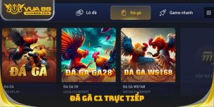 Đá Gà C1 Trực Tiếp - Đọc Bảng Kèo Thomo Chuẩn Dân Chơi