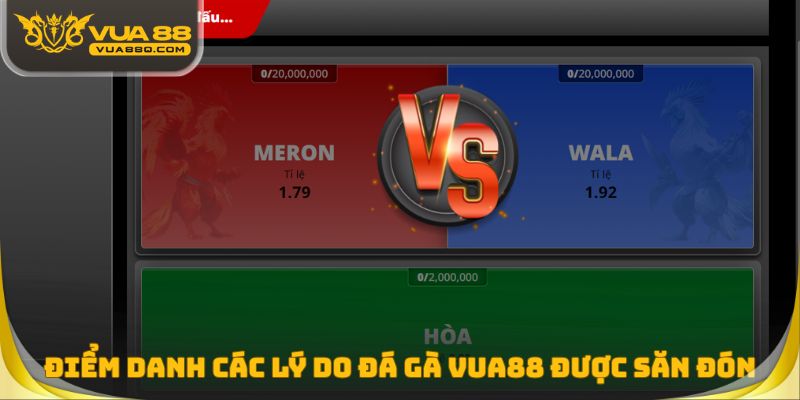 Điểm danh các lý do Đá gà Vua88 được săn đón