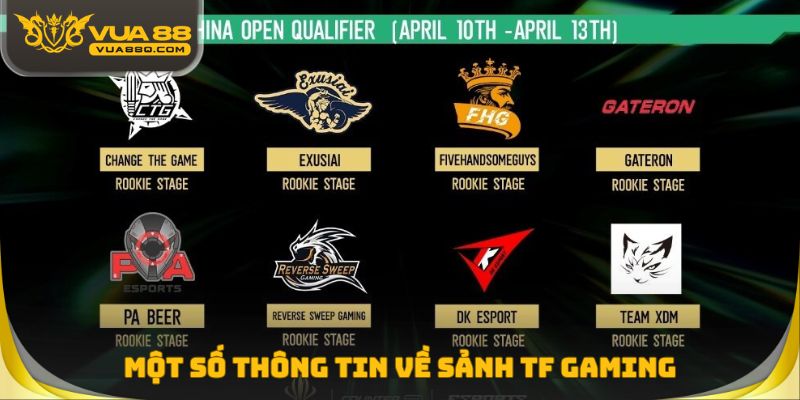 Một số thông tin về sảnh TF Gaming