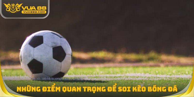 Những điểm quan trọng để soi kèo bóng đá