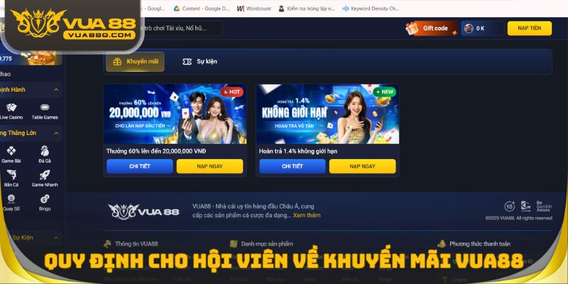 Quy định cho hội viên về khuyến mãi Vua88