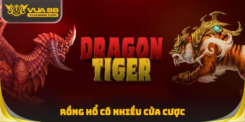 Rồng hổ có nhiều cửa cược