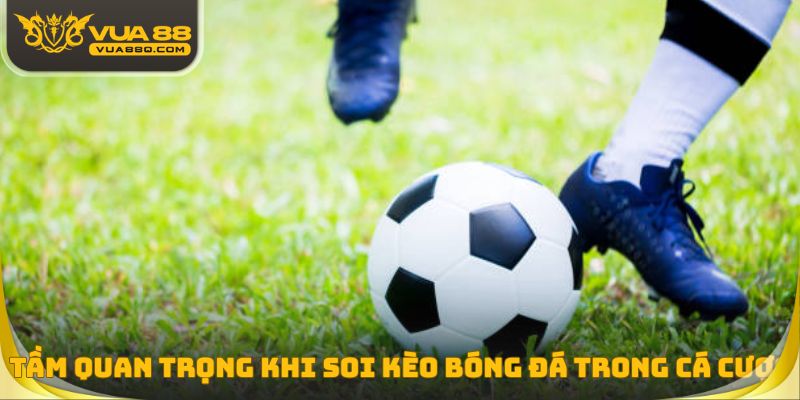 Tầm quan trọng khi soi kèo bóng đá trong cá cược