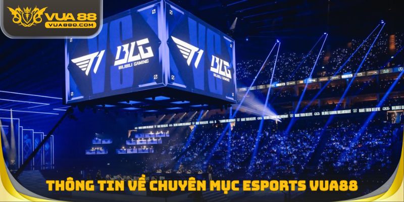 Thông tin về chuyên mục Esports Vua88